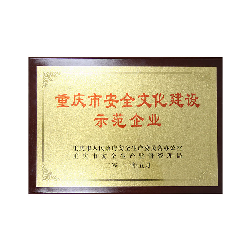 Chongqing safety culture construction demonstration enterprise - 2011